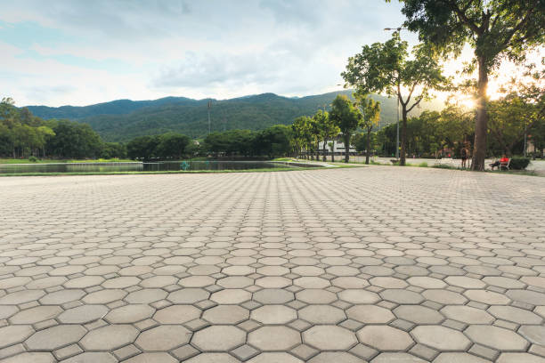 Best Concrete Paver Driveway  in San Elizario, TX
