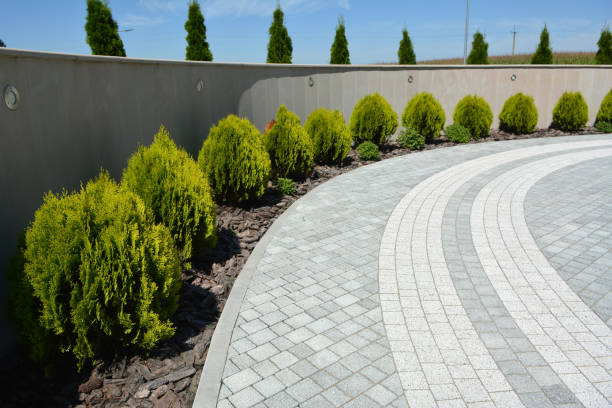 Best Permeable Paver Driveway  in San Elizario, TX