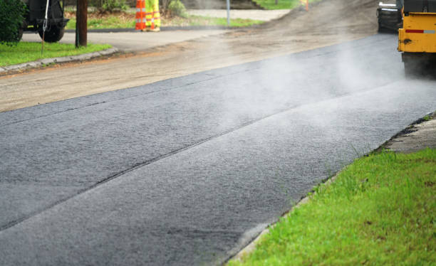 Best Driveway Pavers Near Me  in San Elizario, TX